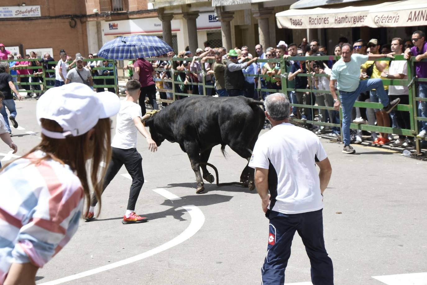 Vitigudino se llena para el segundo encierro de las fiestas del Corpus