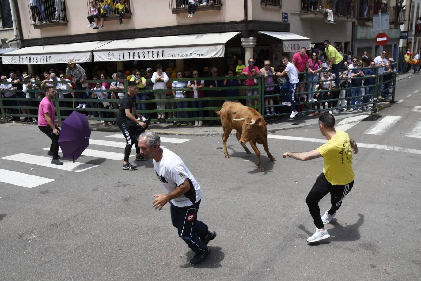 Vitigudino se llena para el segundo encierro de las fiestas del Corpus