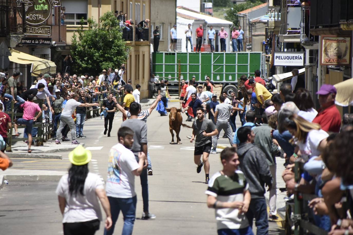 Vitigudino se llena para el segundo encierro de las fiestas del Corpus
