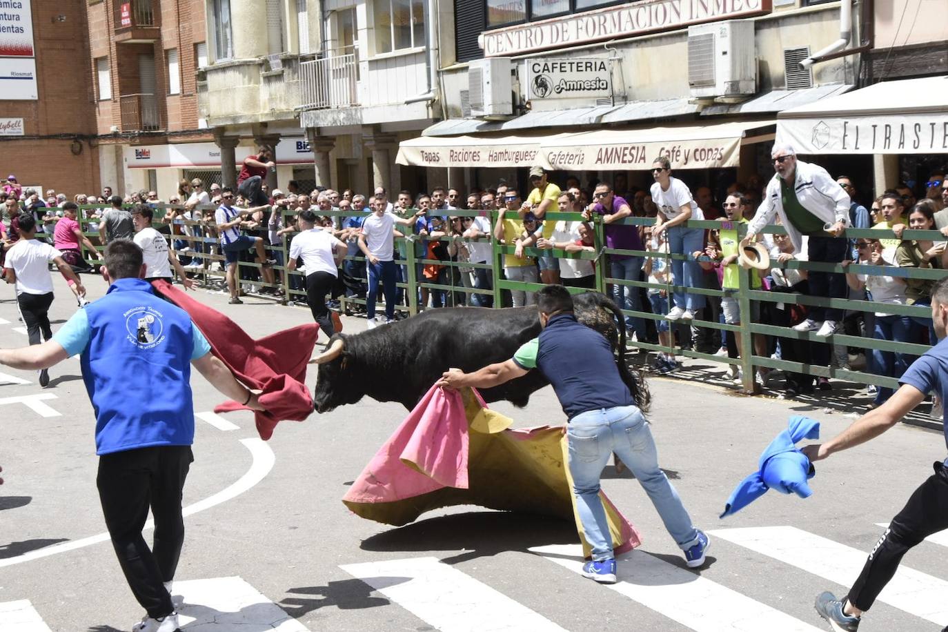 Vitigudino se llena para el segundo encierro de las fiestas del Corpus
