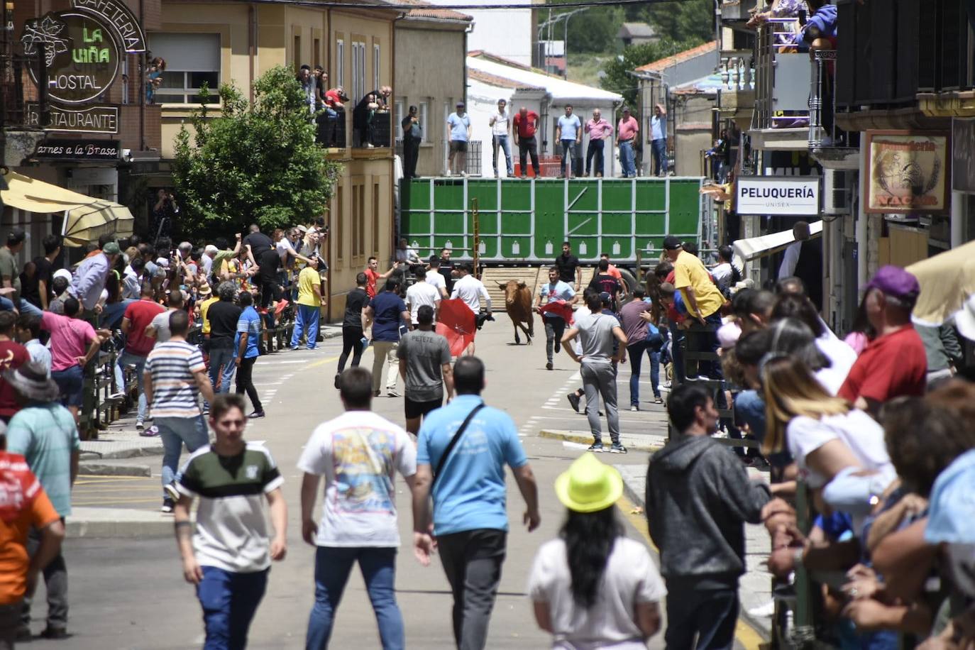 Vitigudino se llena para el segundo encierro de las fiestas del Corpus