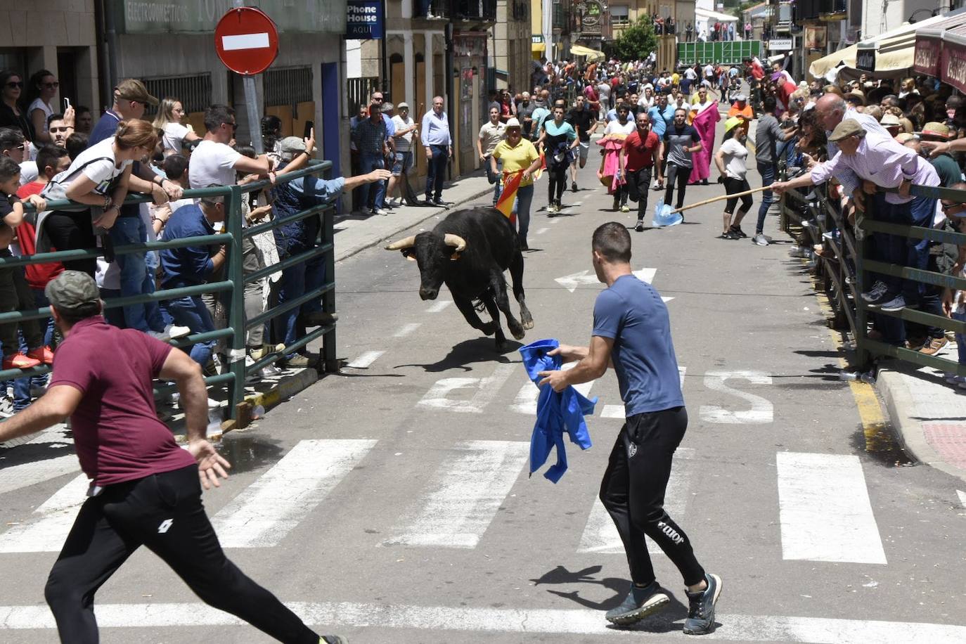 Vitigudino se llena para el segundo encierro de las fiestas del Corpus