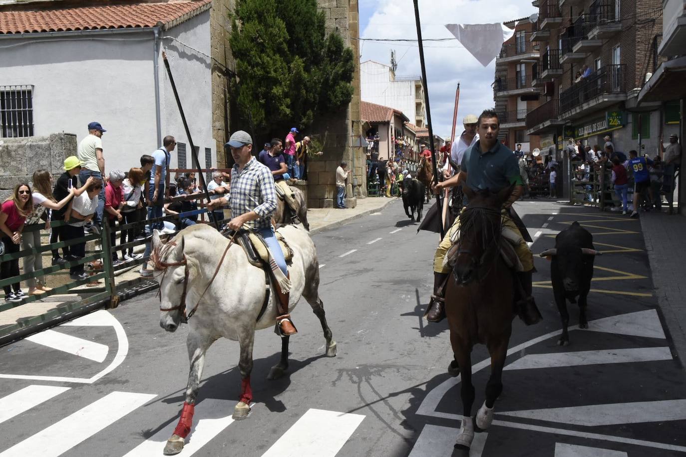 Encierros limpios y rápidos en Vitigudino