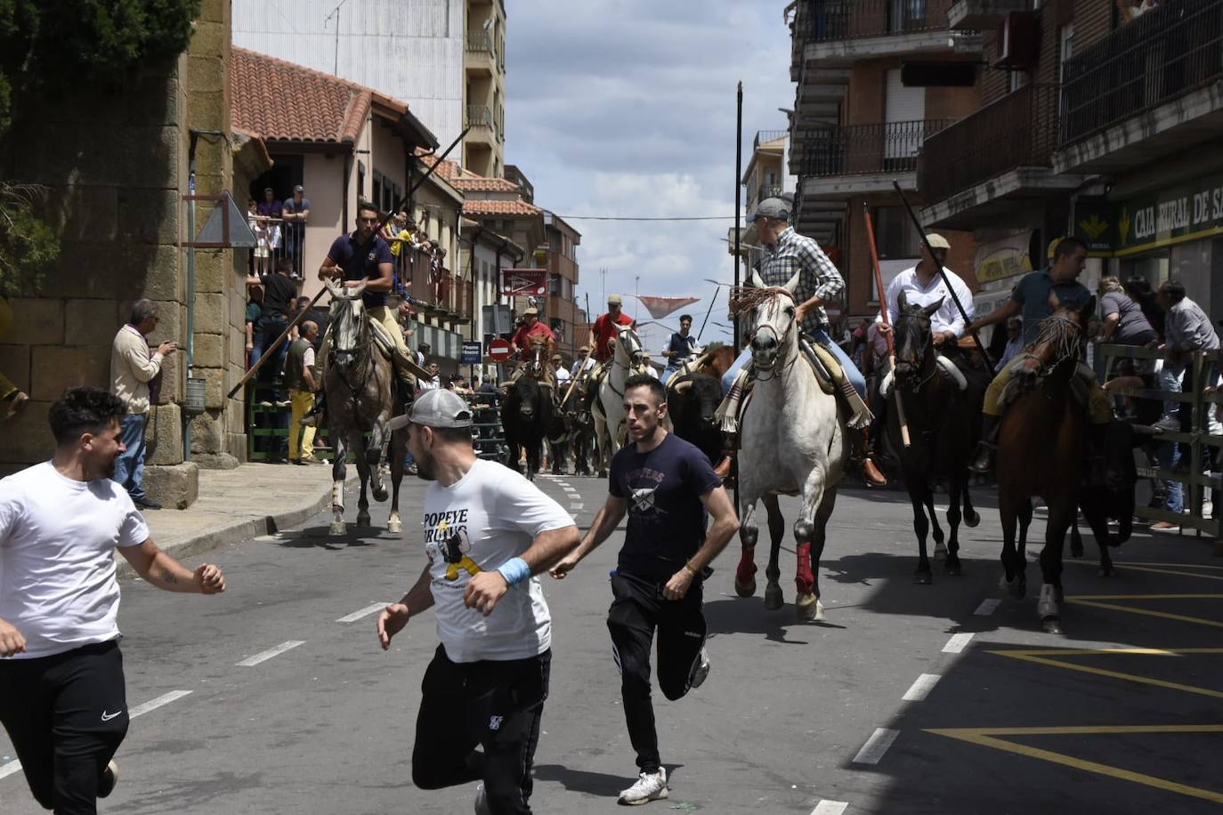 Encierros limpios y rápidos en Vitigudino