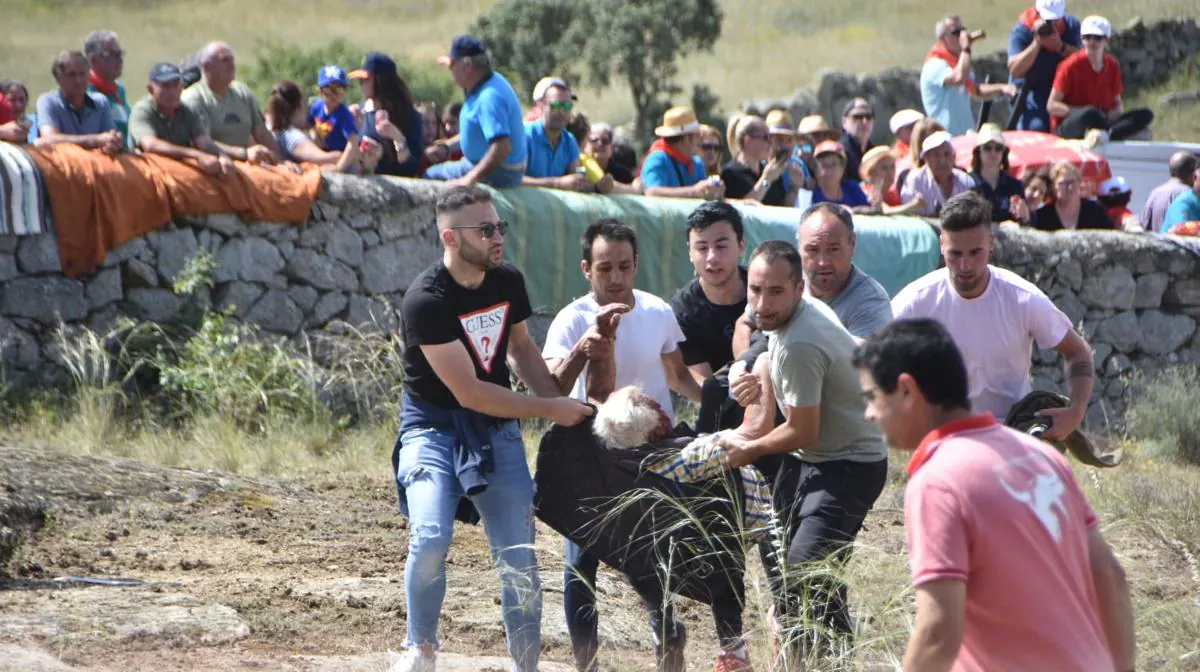 Así ha sido la cogida a un hombre en los espantes de Ledesma | La Gaceta de  Salamanca