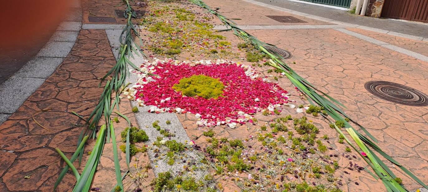 Las espectaculares alfombras florales de Serradilla del Arroyo para celebrar el Corpus