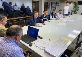 Siguen las bajadas de los cereales en la Lonja