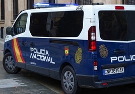 Una mujer detenida en una nueva operación antidroga en Salamanca