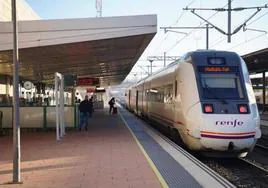 Los viajeros de un tren Alvia hacen cola para acceder al mismo en Salamanca.