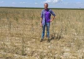 Un agricultor en su parcela en la comarca de Peñaranda.