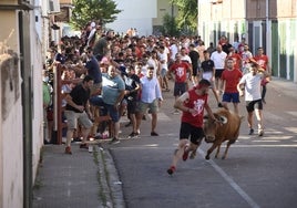 Multitudinaria suelta de vaquillas durante las fiestas del Barrio Nuevo del pasado año.