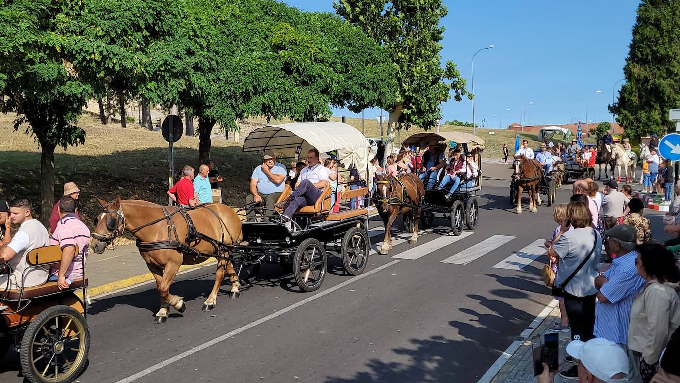 Arranca en Ciudad Rodrigo la Romería de la Hermandad de la Virgen de la Peña de Francia