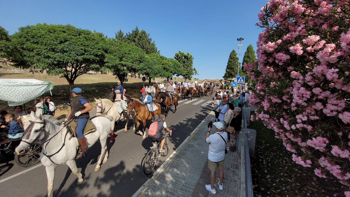 Arranca en Ciudad Rodrigo la Romería de la Hermandad de la Virgen de la Peña de Francia