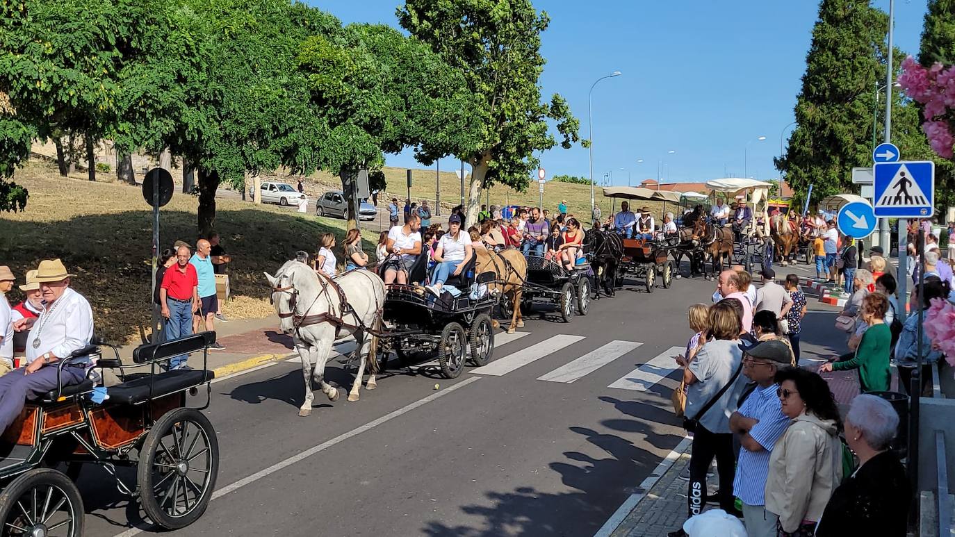 Arranca en Ciudad Rodrigo la Romería de la Hermandad de la Virgen de la Peña de Francia