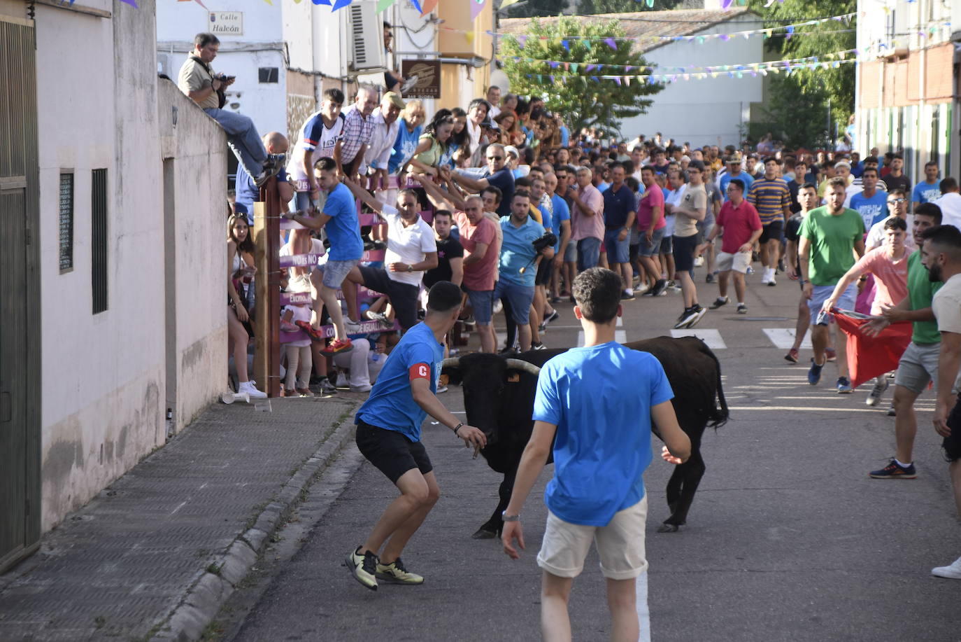 Carreras taurinas en el Barrio Nuevo