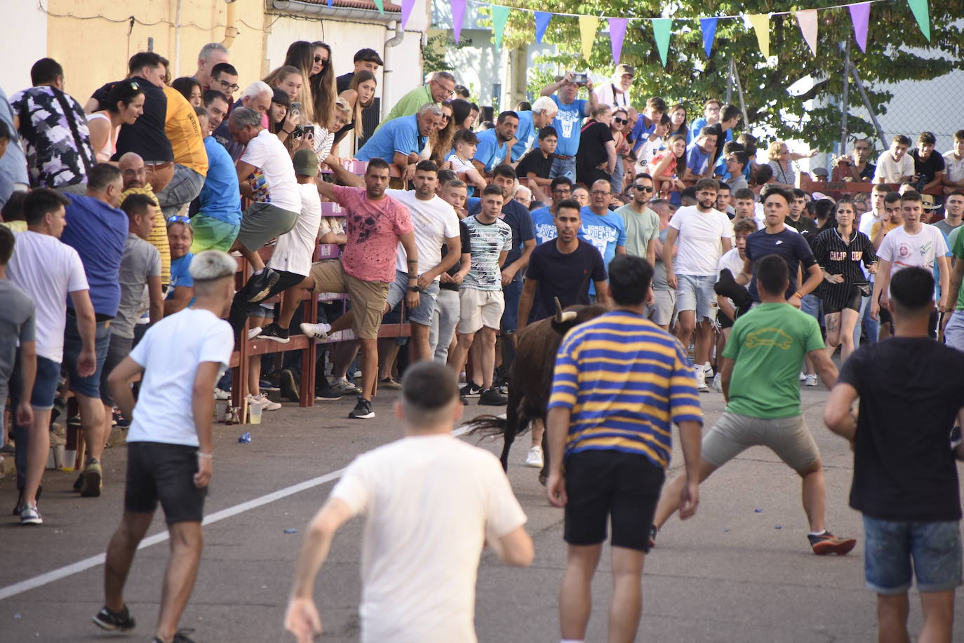 Carreras taurinas en el Barrio Nuevo