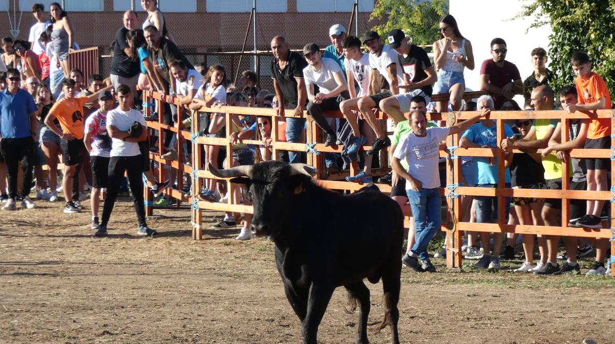 El toro del cajón centra la atención juvenil en Villoruela