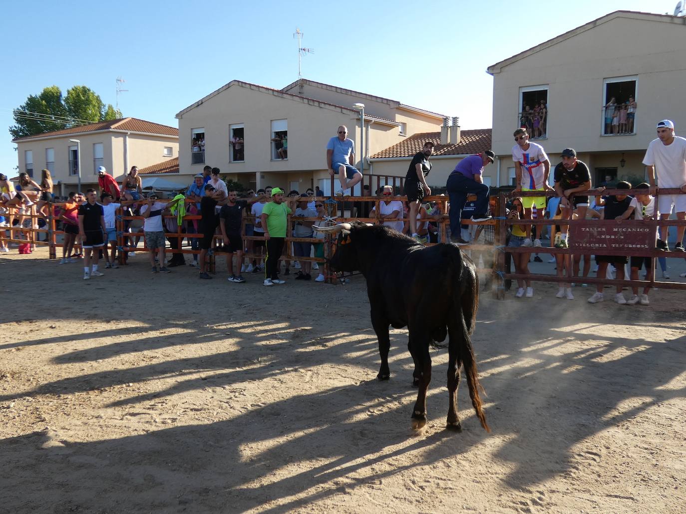 El toro del cajón centra la atención juvenil en Villoruela