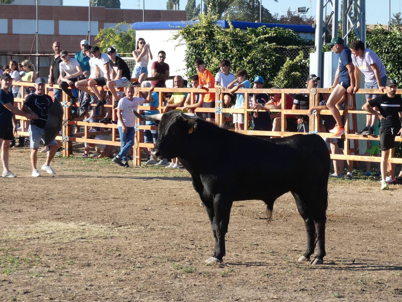 El toro del cajón centra la atención juvenil en Villoruela