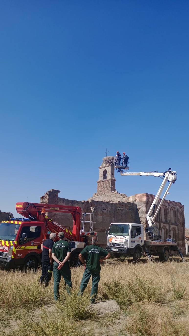 Rescatada una cigüeña atrapada en un campanario durante varios días en Cantaracillo