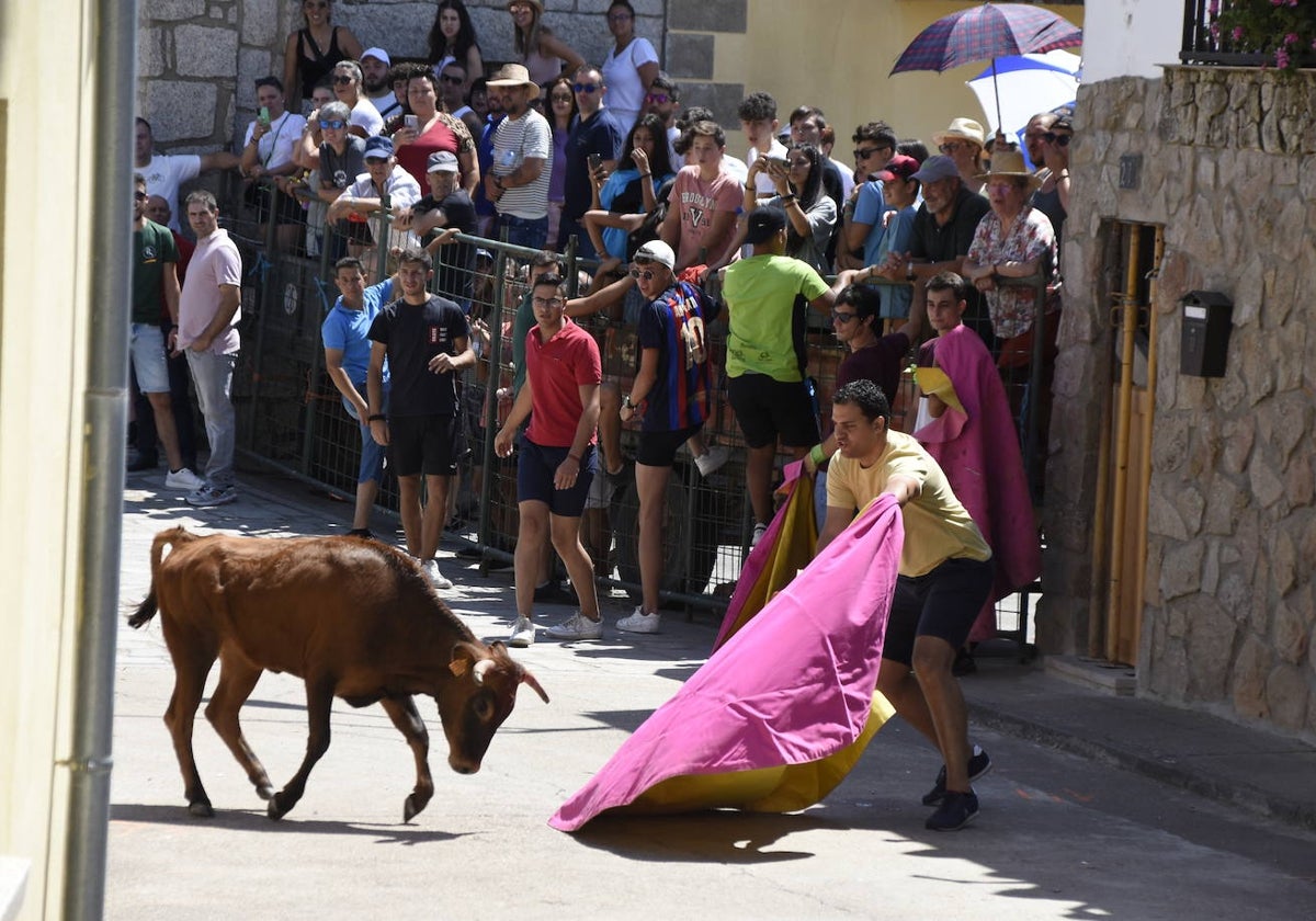 Los festejos taurinos populares tienen su hueco en el programa festivo de Peralejos de Abajo