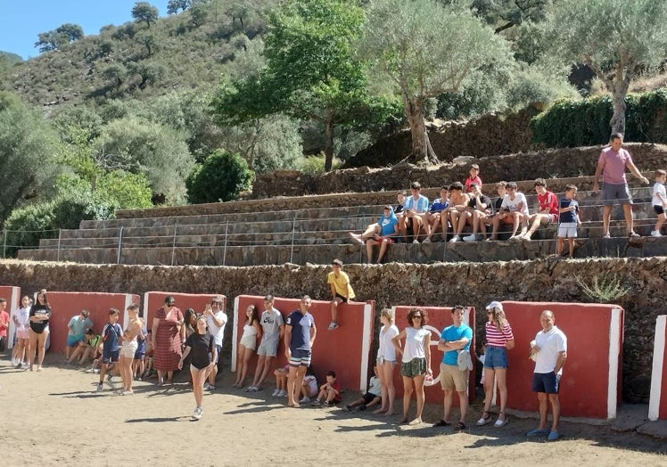 Imagen principal - Diferentes momentos de la jornada de juegos celebrada en la plaza de toros de Valero.