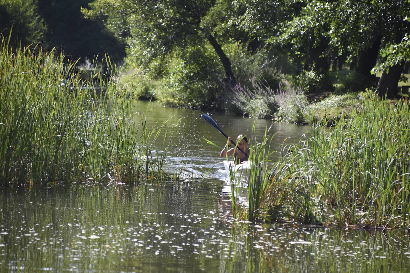 Carrera y piraguas en el río de Ciudad Rodrigo