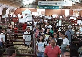 Una imagen de la edición de Salamaq 2022.