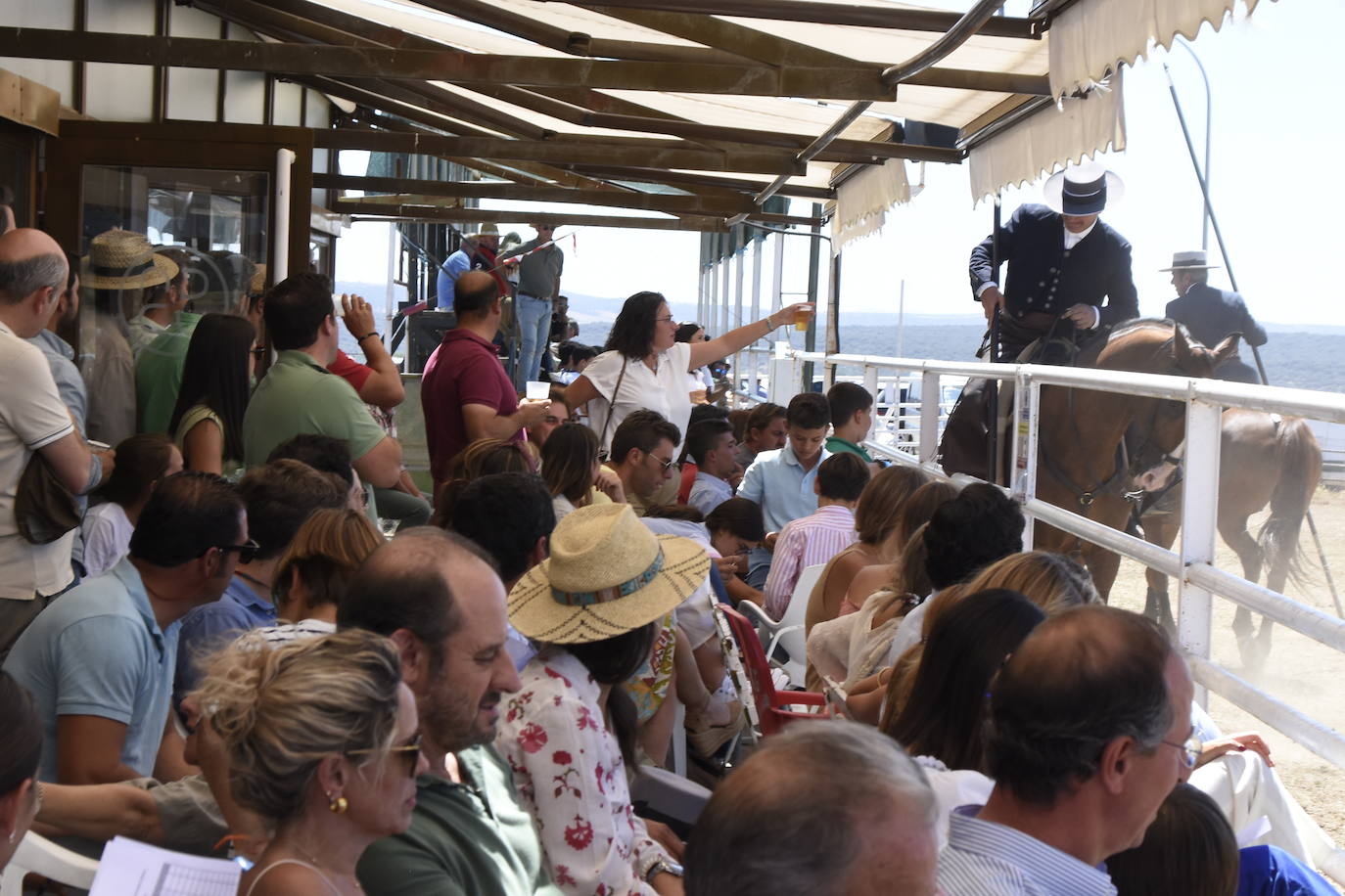 El Nacional de Faenas y Doma de Campo de Ciudad Rodrigo se marcha a Castilla La Mancha