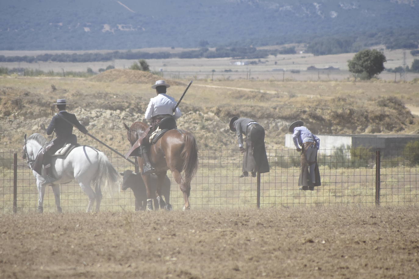 El Nacional de Faenas y Doma de Campo de Ciudad Rodrigo se marcha a Castilla La Mancha