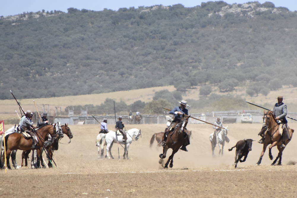 El Nacional de Faenas y Doma de Campo de Ciudad Rodrigo se marcha a Castilla La Mancha