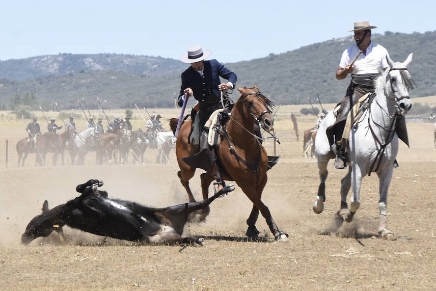 El Nacional de Faenas y Doma de Campo de Ciudad Rodrigo se marcha a Castilla La Mancha