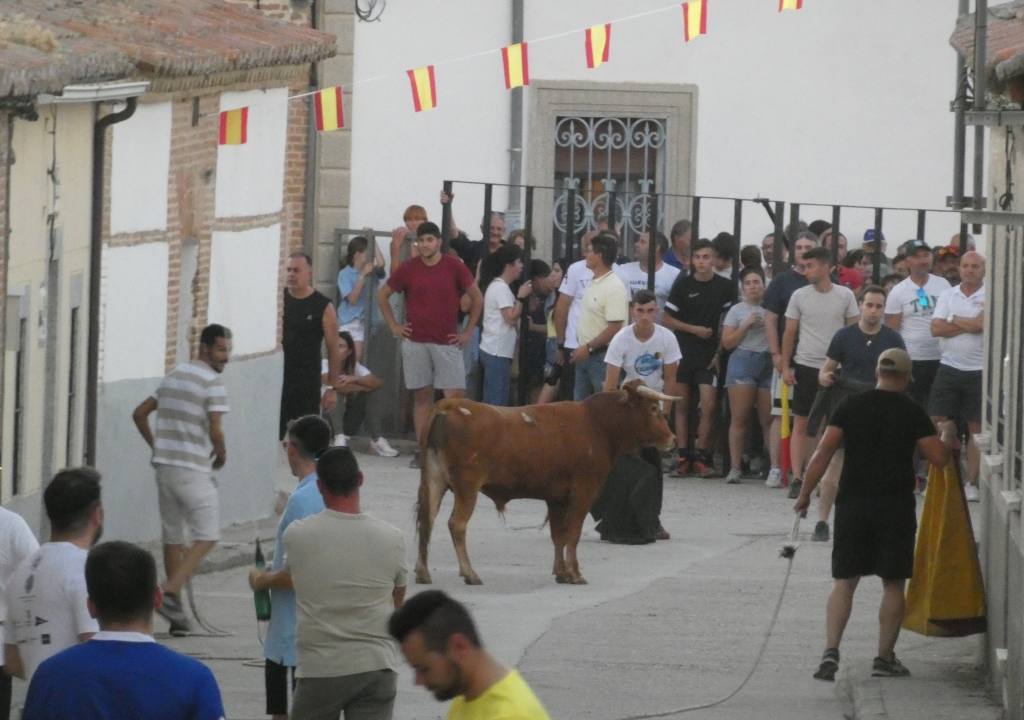 Festejo taurino con dos astados en Palaciosrubios