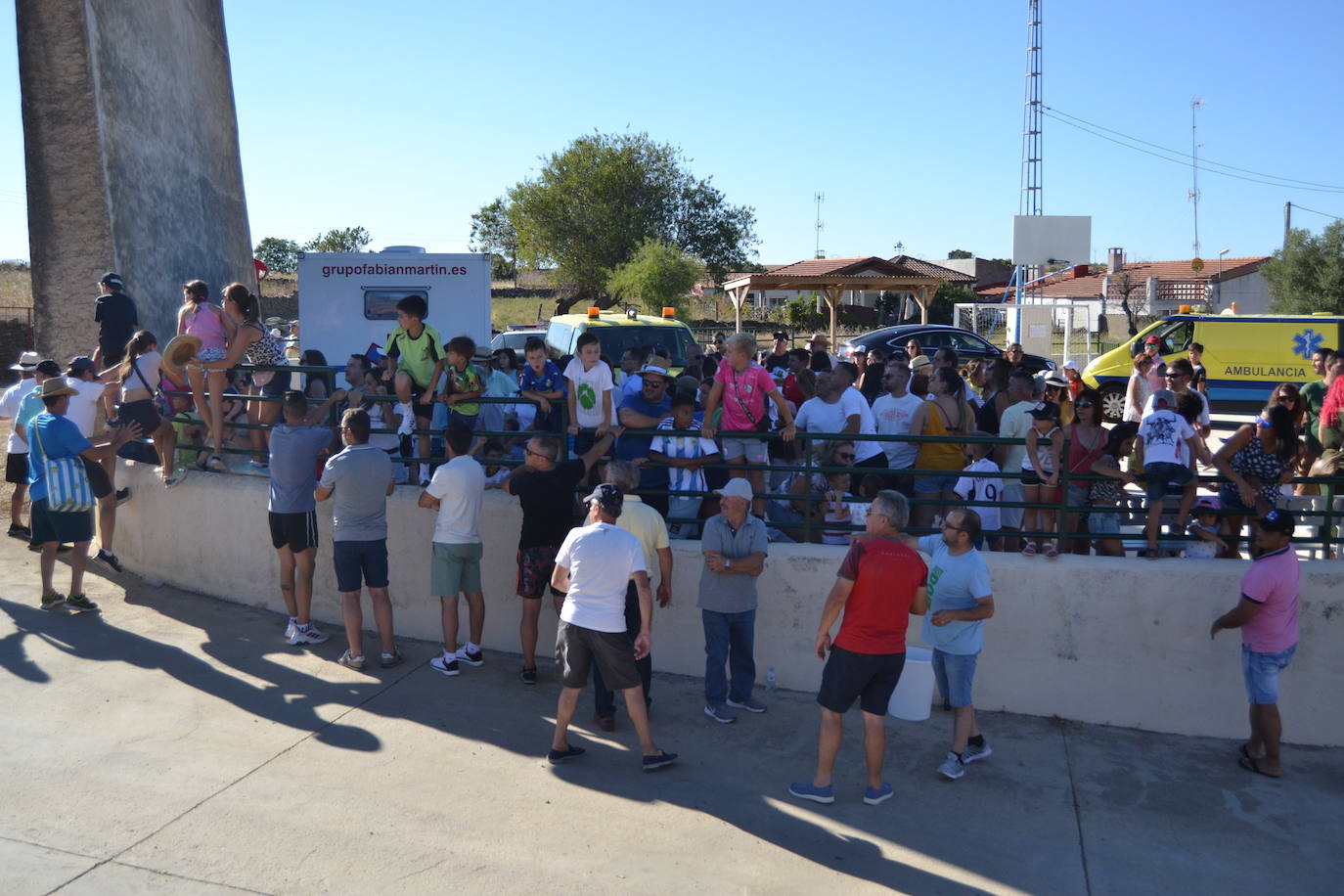 Emocionante encierro y capea en las fiestas de Saelices