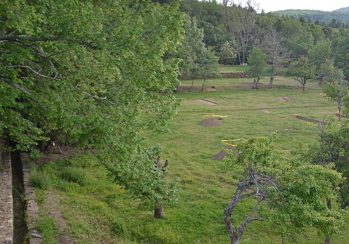 Estas son las ayudas para los equipos de protección ante heladas en frutales de pepita
