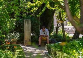 Así será el tiempo esta semana según las cabañuelas: «En julio y agosto es gran tabarra el canto de la cigarra»