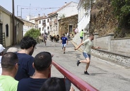 Rapidísima carrera de mozos y novillos en Saucelle.