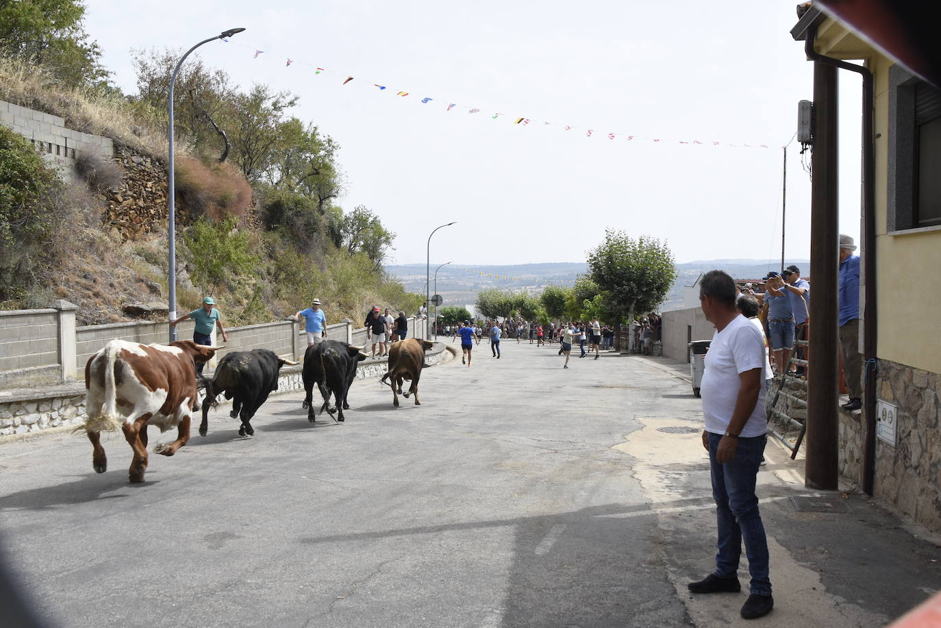 Rápida carrera en el primer encierro de Saucelle