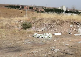 La zona fue liberada de basura por los operarios municipales antes del mediodía.