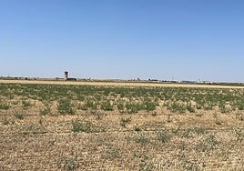 Explotación agraria en Salamanca.