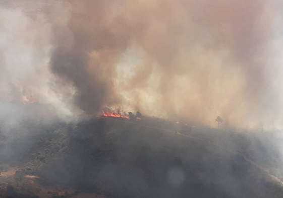 Incendio de Agozelo.