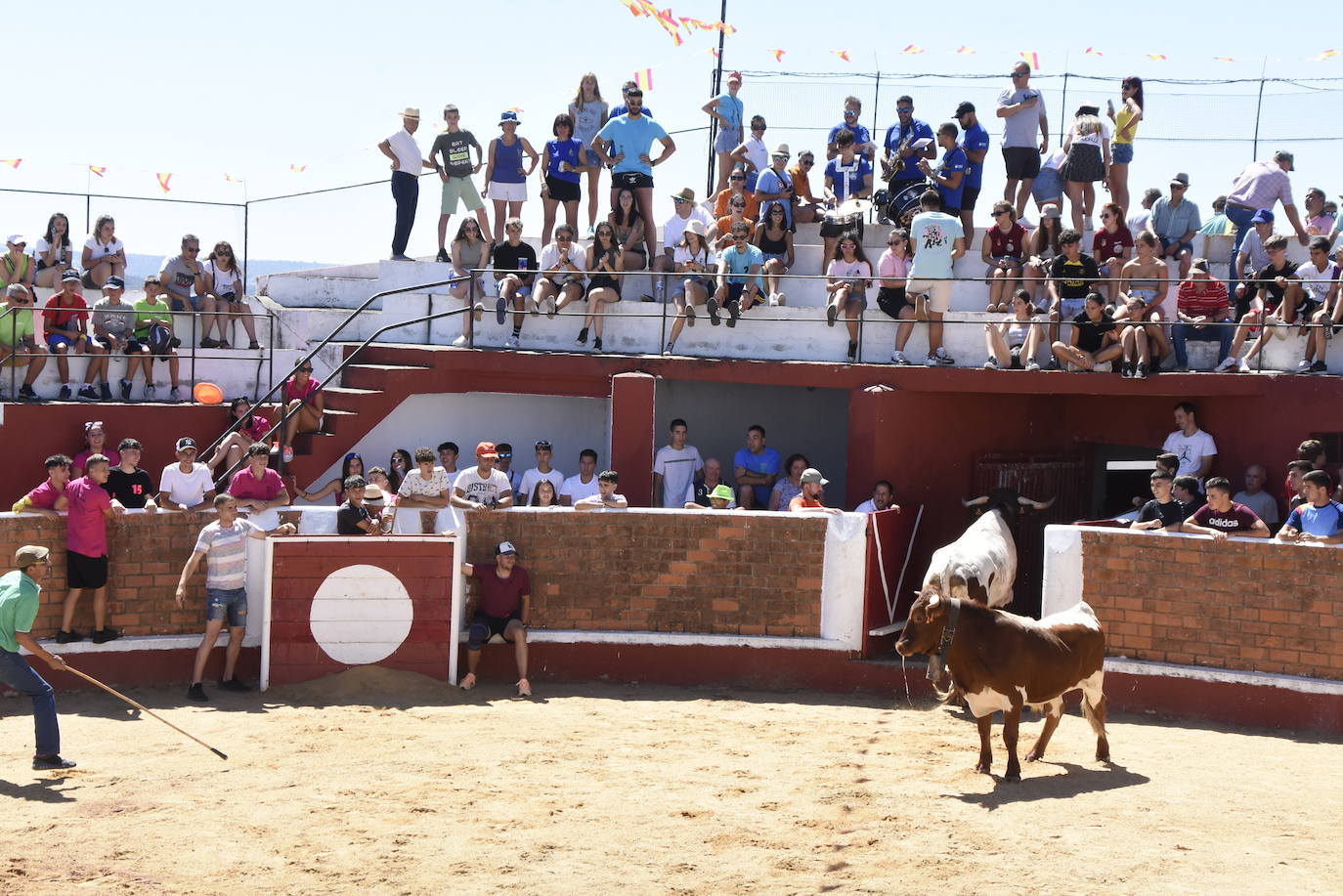 Velocísimo segundo encierro de Saucelle