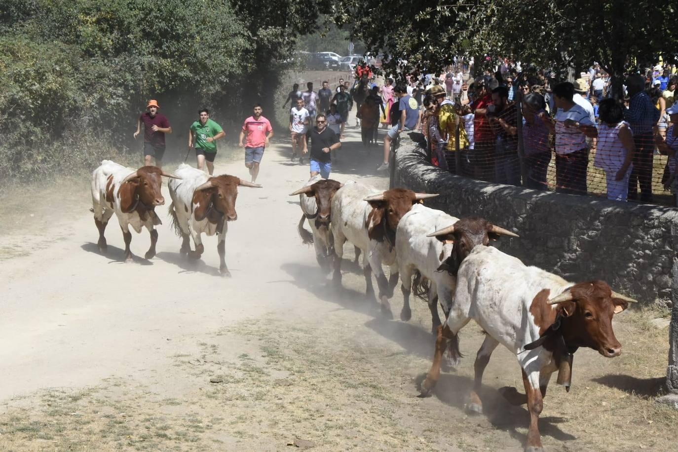 Caótico y largo encierro con caballos en Navasfrías