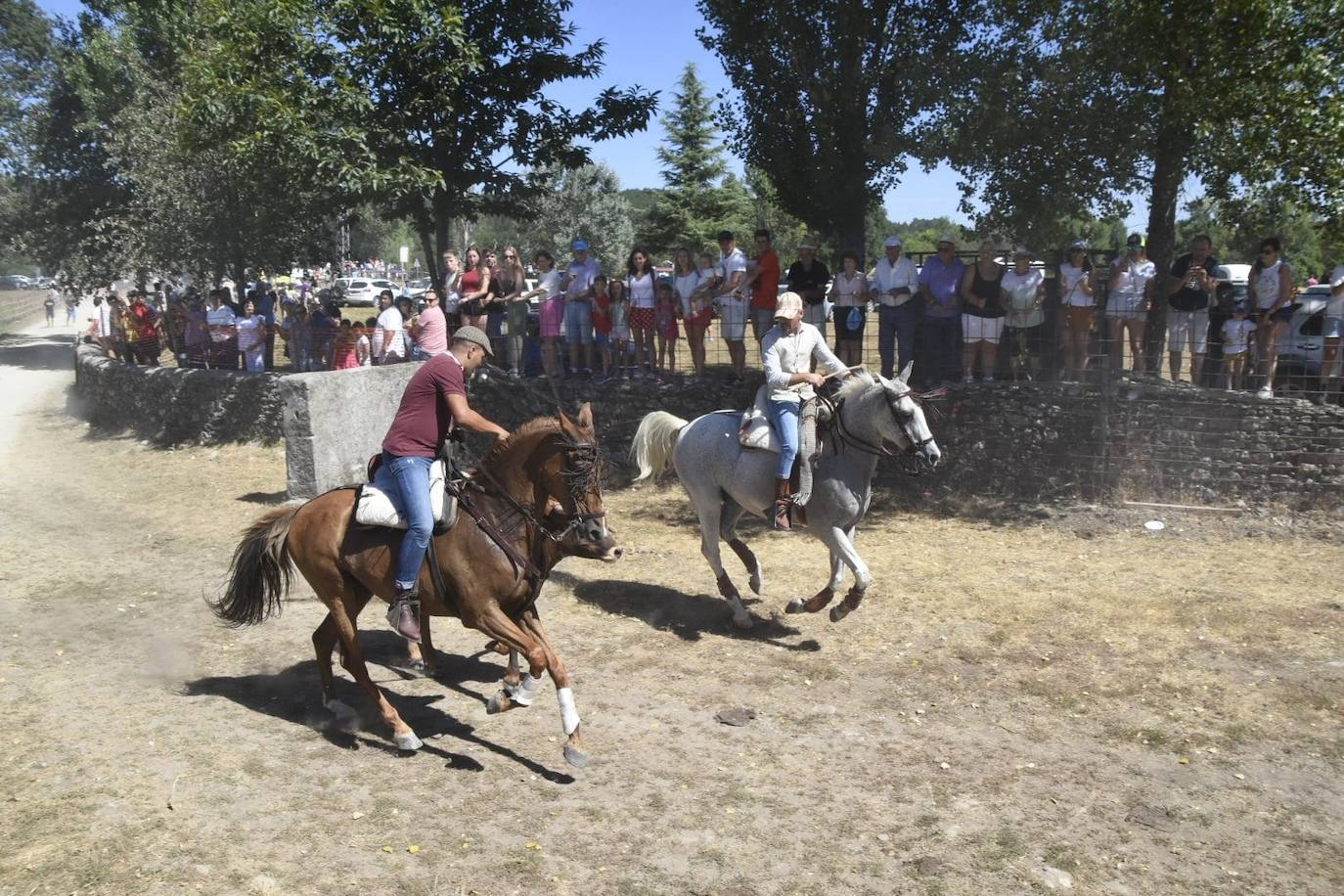 Caótico y largo encierro con caballos en Navasfrías