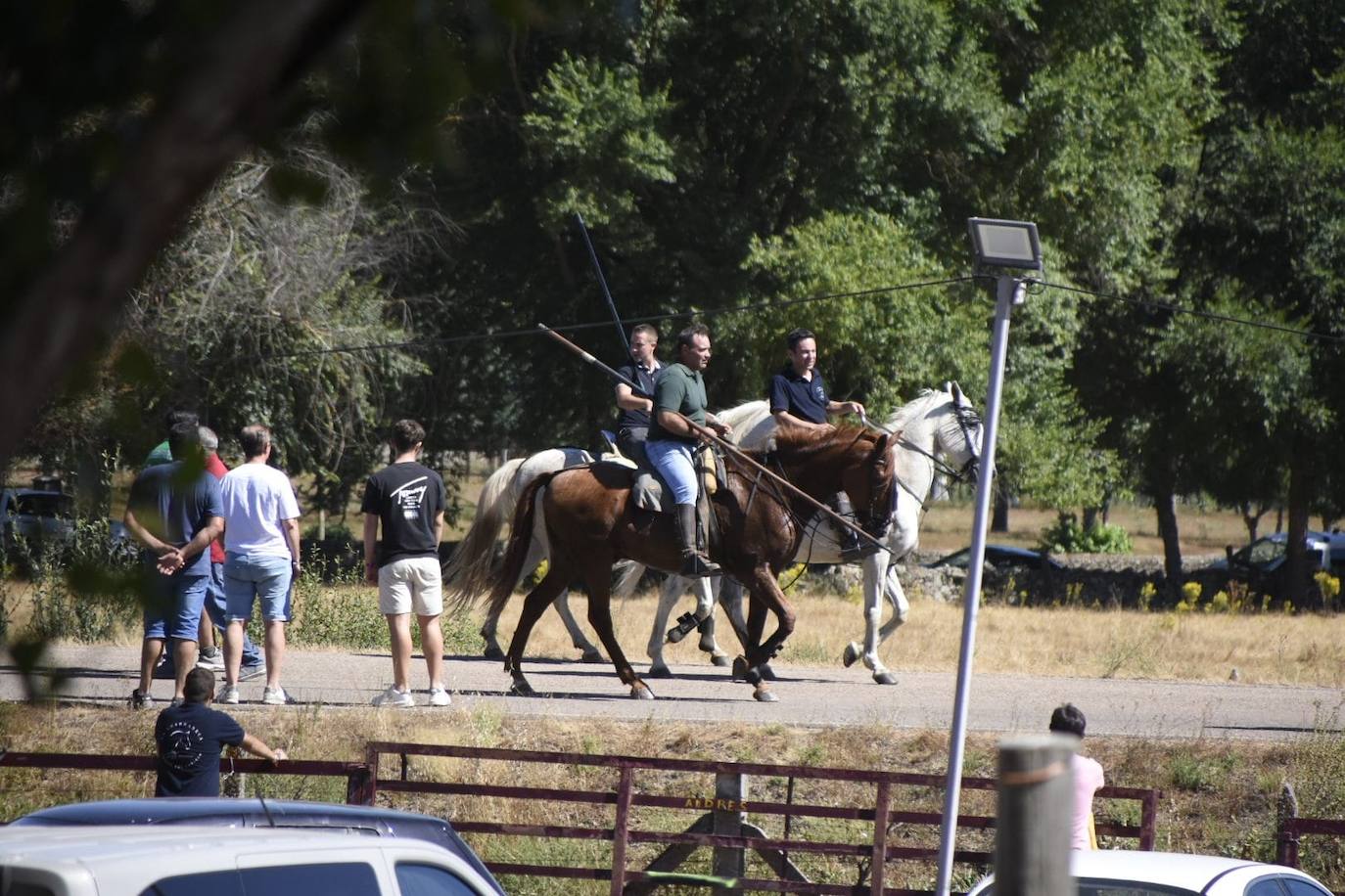 Caótico y largo encierro con caballos en Navasfrías