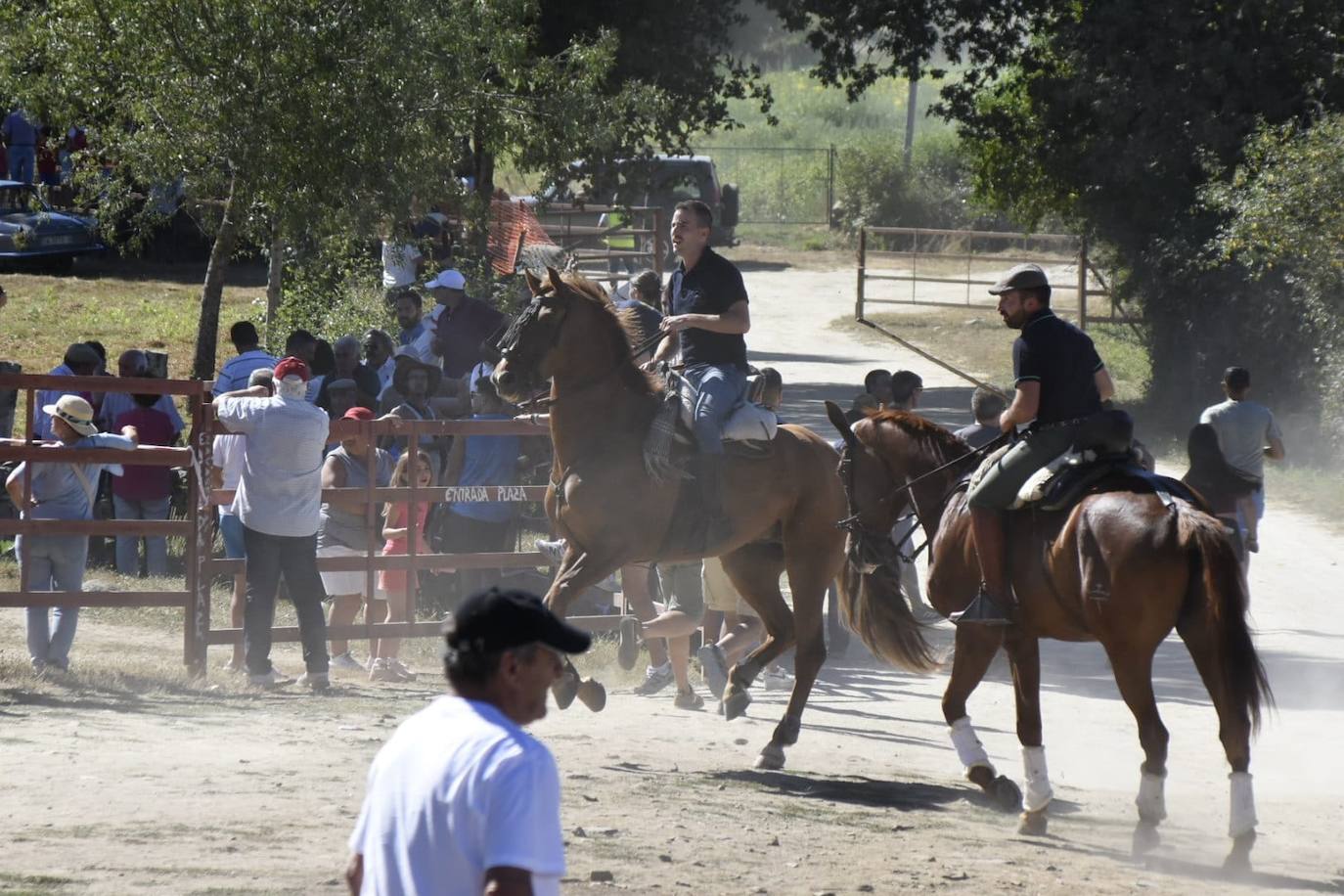 Caótico y largo encierro con caballos en Navasfrías