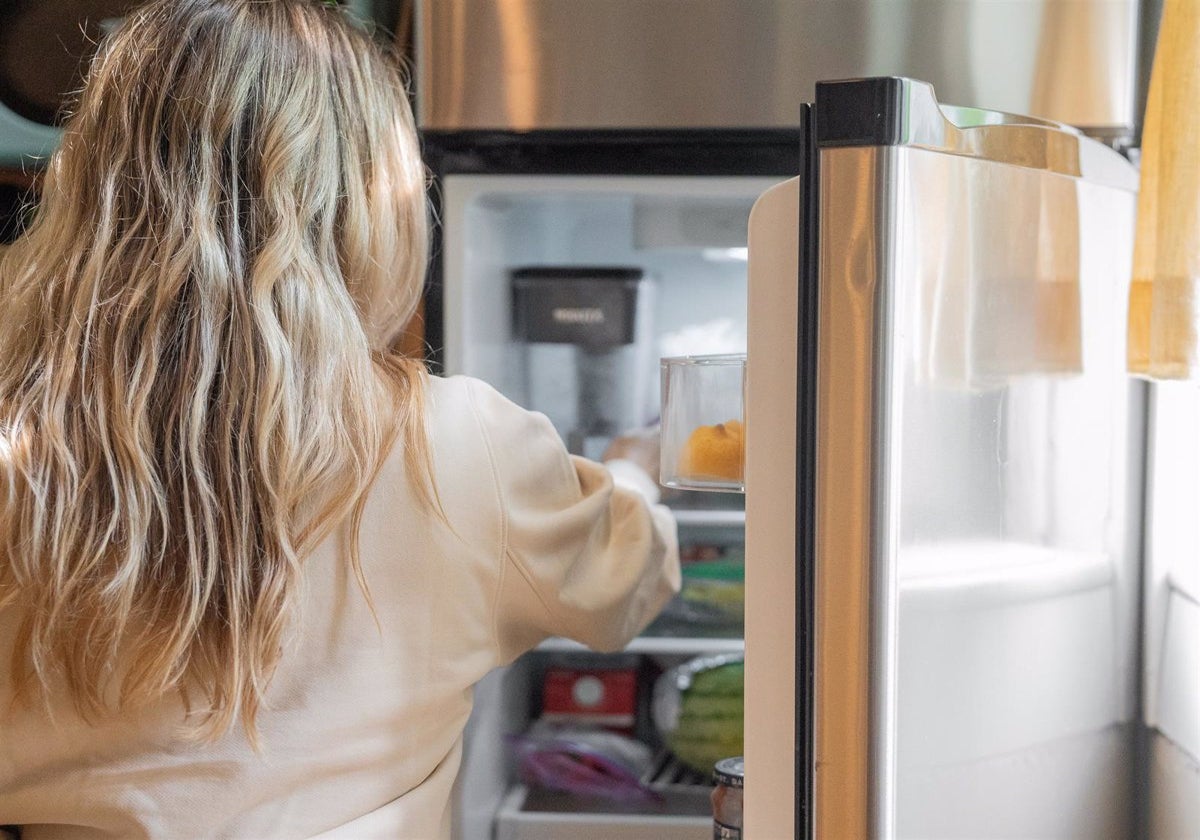 Alimentos conservados en refrigerador.