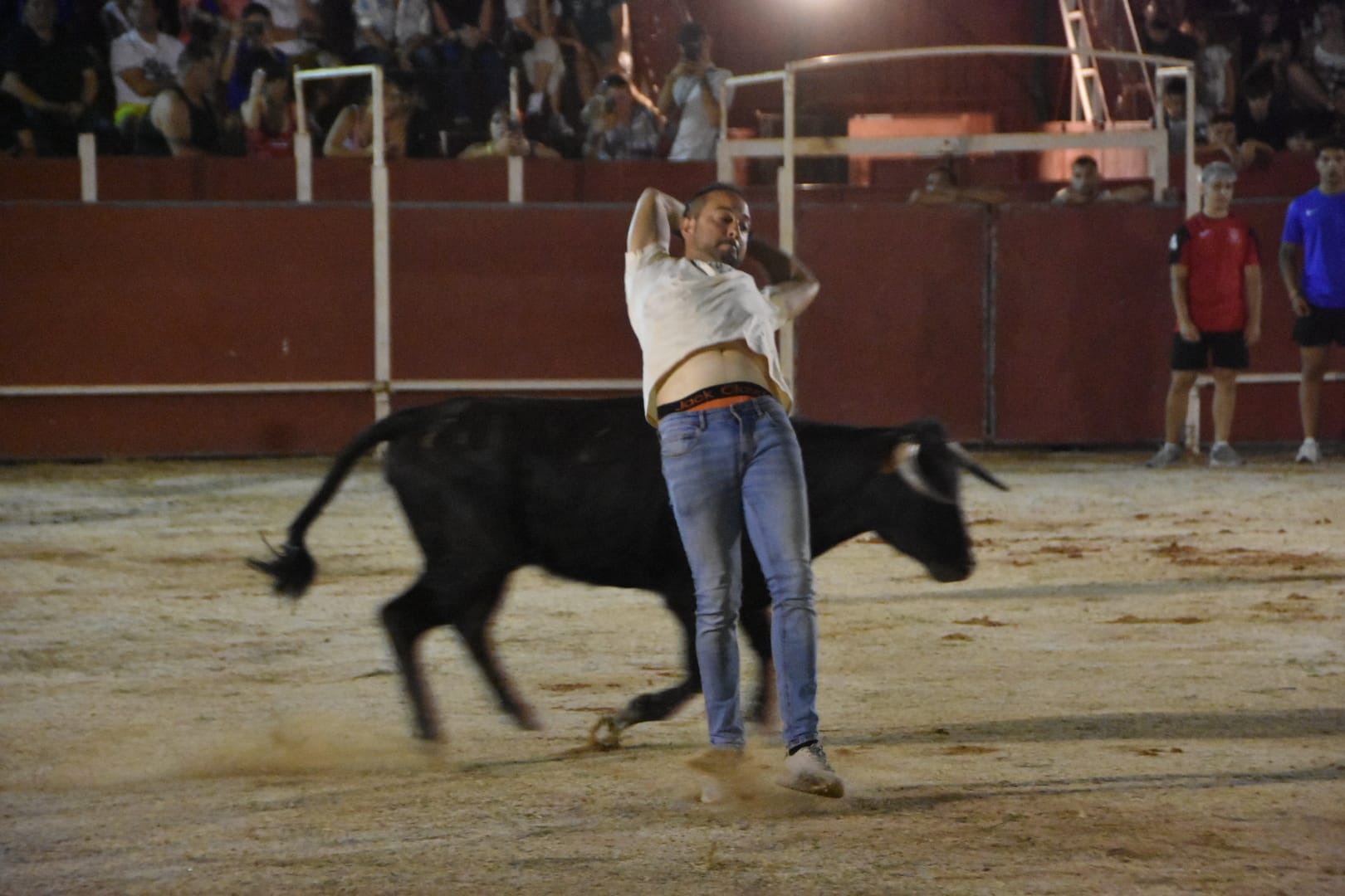 Carbajora llena su plaza de toros en la primera cita nocturna con las vaquillas
