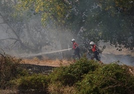 Los bomberos sofocan un incendio de pastos.