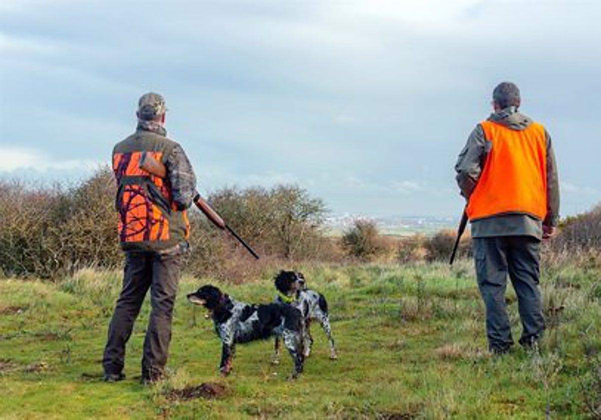 Temporada de caza de la Media Veda.
